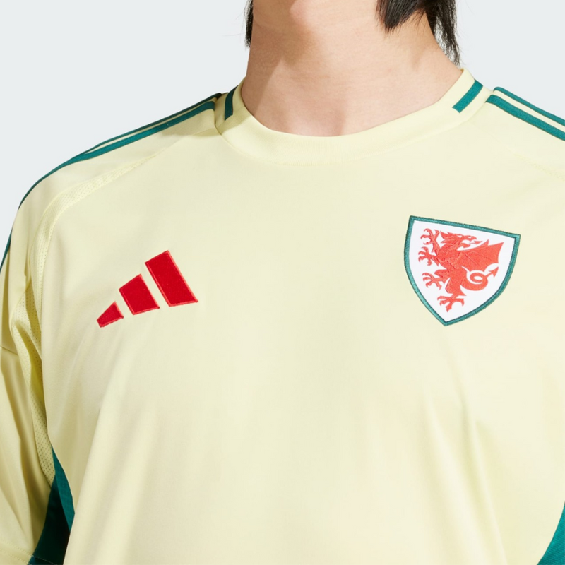 Wales Reserve 24/25 Jersey - AD Men's Fan